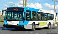 STM_29077