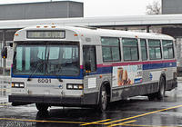 STL_6001