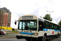 STM_15077