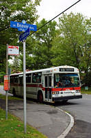 DSC_1256-Edit-2.jpg