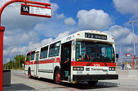 DSC_1333-Edit-2.jpg