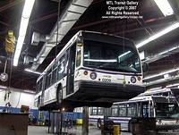 HPIM3164x.jpg