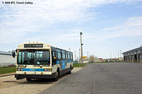 DSC_6152.jpg