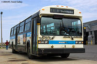 DSC_6165.jpg