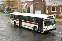 DSC_6441.jpg