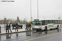 DSC_6486.jpg