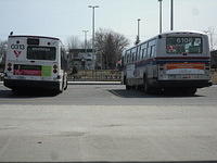 6106 & 0313