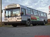 6202