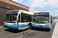 Different series buses together! *STM*