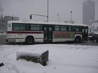 9-017B.JPG