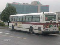 HPIM2384.JPG