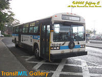 IMG_9267_©Copyrighted.jpg