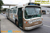 IMG_1625_©Copyrighted.jpg