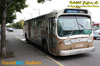 IMG_1628_©Copyrighted.jpg