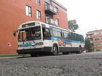 IMG 1086