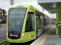 TDM 161