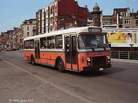 Autobus