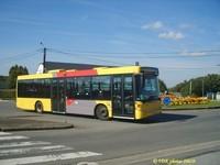 561178  Sophibus