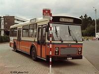 753140 LIM Collard-Lambert