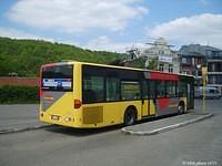 755102 Autobus Gohy