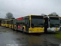 772189 Cintra