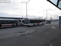 55204
