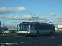 55204