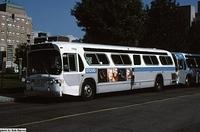 7768 (Ex. STRSM 7-758)