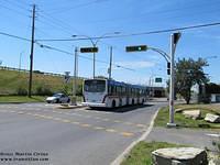 C20603