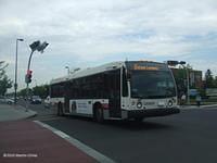 C20837