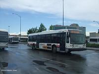 C20909