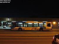 29-019