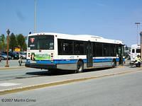 49101