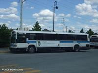 46102