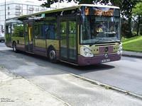 262