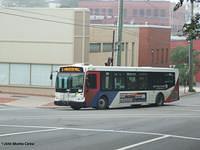 44877