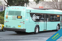LYNX-641