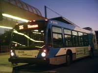 PHTO0036