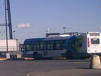 PHTO0259