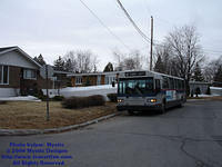 STL-5924-032909-229.jpg