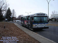 STL-5924-032909-231.jpg
