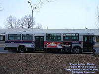 STL-5924-032909-232.jpg