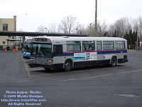 STL-5924-032909-251.jpg