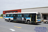 STM-14122-050210-06.jpg