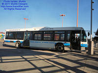 CITSO-393218-042211-02