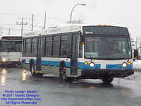 CITSO-394218-021411-01