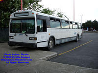 CITSO-847-073108-01.jpg