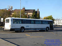CITSO-847-101909-05.jpg