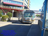 FHTCQ-14008-052508-04.jpg