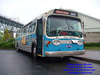FHTCQ-33008-062808-03.jpg